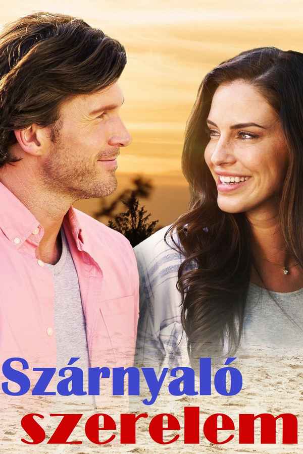 High Flying Romance Poster 7