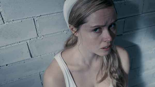 Hippopotamus Poster 3