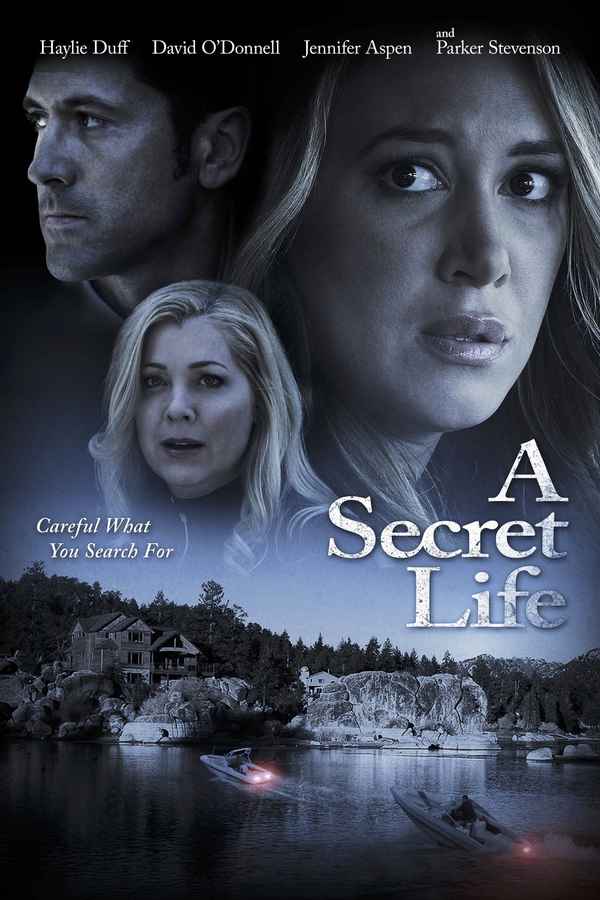 His Secret Family Poster 2