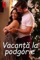 Holiday in the Vineyards Poster 6