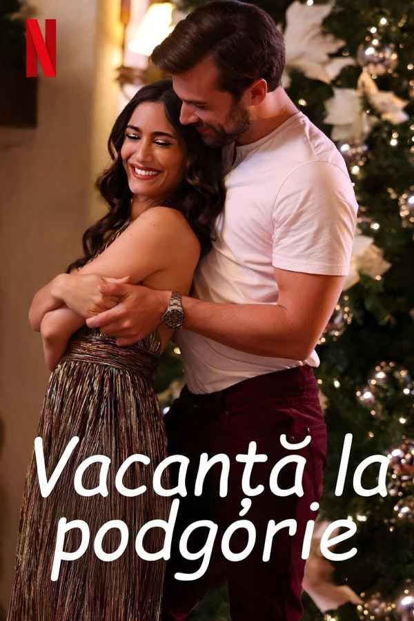 Holiday in the Vineyards Poster 6