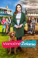 Holiday Joy Poster 7