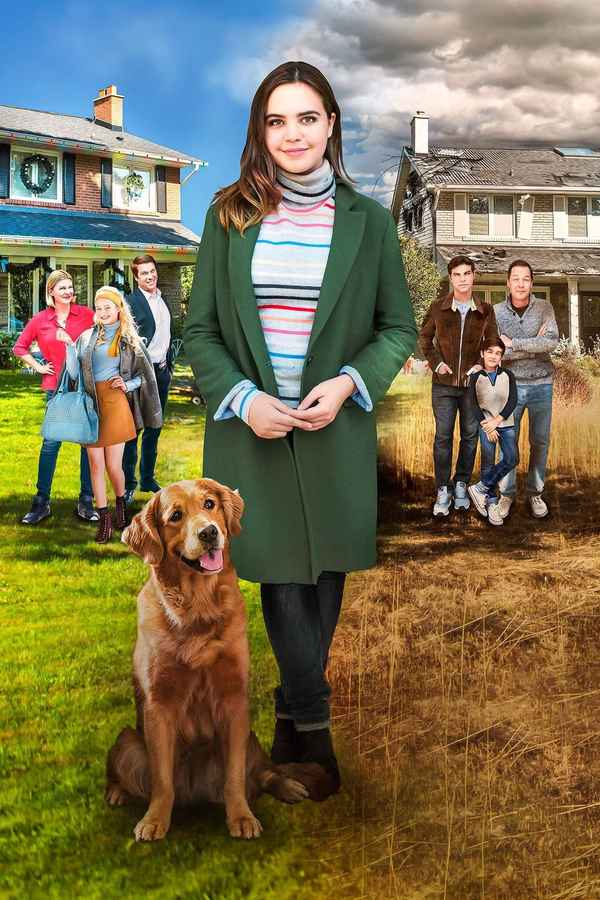 Holiday Joy Poster 6