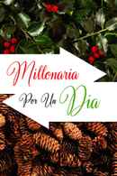 Holiday Switch Poster 7