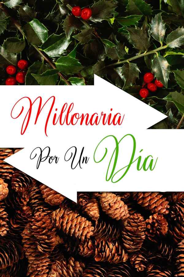 Holiday Switch Poster 7