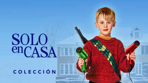 Home Alone Poster 3