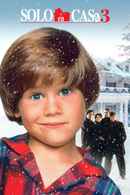 Home Alone 3 Poster 4