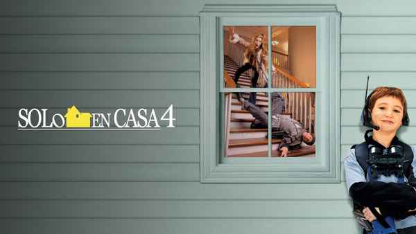 Home Alone 4 Poster 4