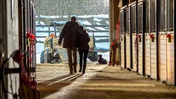 Home for Christmas Day Poster 1