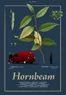 Hornbeam Poster 6