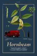 Hornbeam Poster 5
