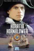 Hornblower: Retribution Poster 7