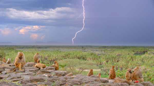 Hostile Planet Poster 7