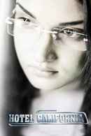 Hotel California Poster 3