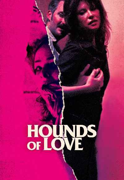 Hounds of Love