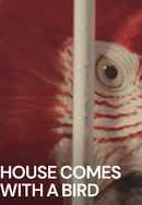 House Comes with a Bird Poster 7