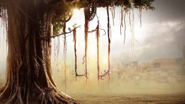 House of Secrets: The Burari Deaths Poster 2