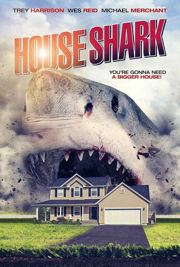 House Shark Poster 2