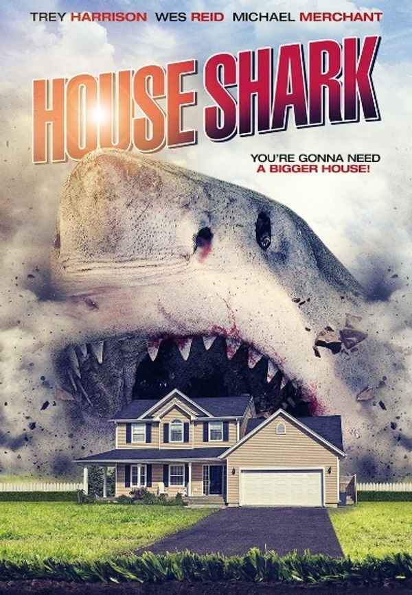 House Shark Poster 4