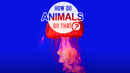 How Do Animals Do That Poster 1