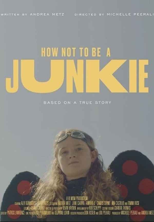 How Not to Be a Junkie Poster 2