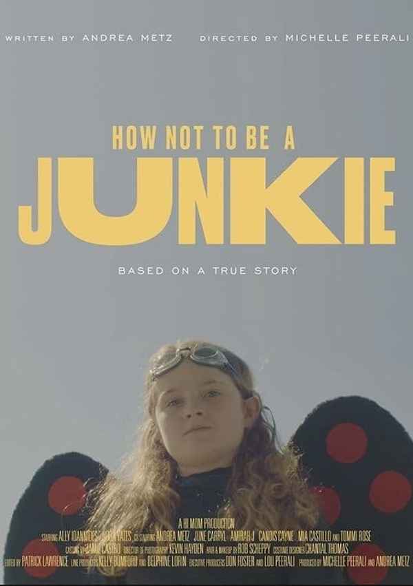 How Not to Be a Junkie Poster 1