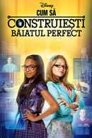 How to Build a Better Boy Poster 7