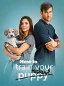 How To Train Your Husband Poster 6