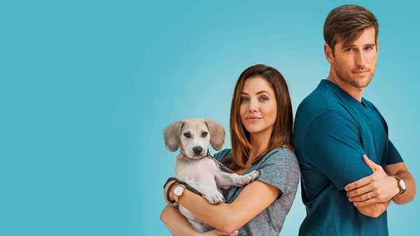 How To Train Your Husband Poster 7