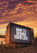 How TV Ruined Your Life Poster 4