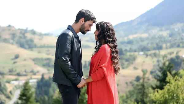 Hudutsuz Sevda Poster 2