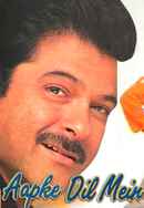 Hum Aapke Dil Mein Rehte Hain Poster 5