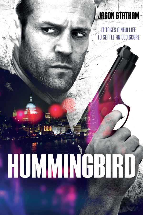 Hummingbird Poster 5