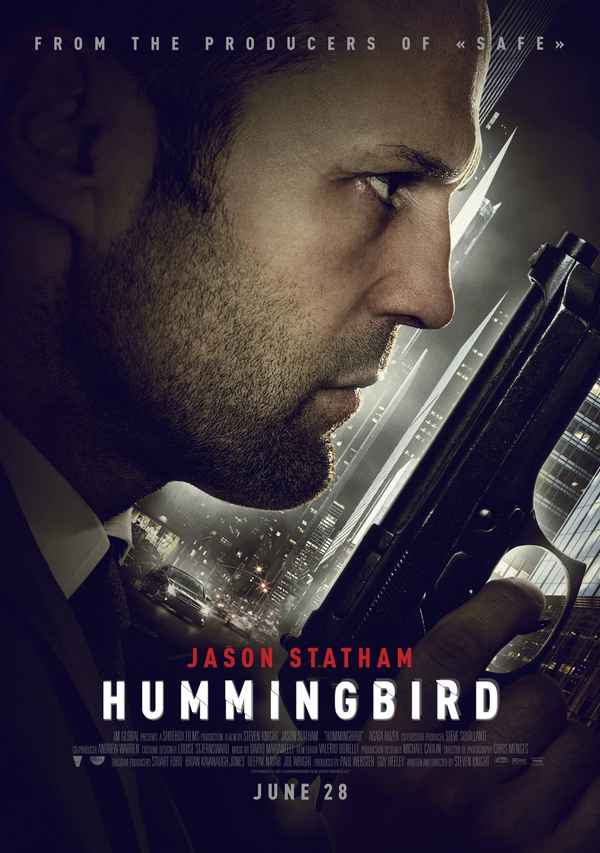 Hummingbird Poster 3