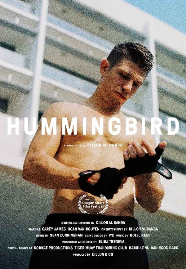 Hummingbird Poster 2