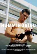 Hummingbird Poster 1
