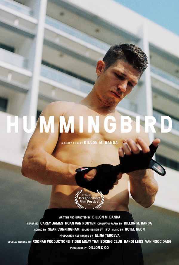 Hummingbird Poster 1