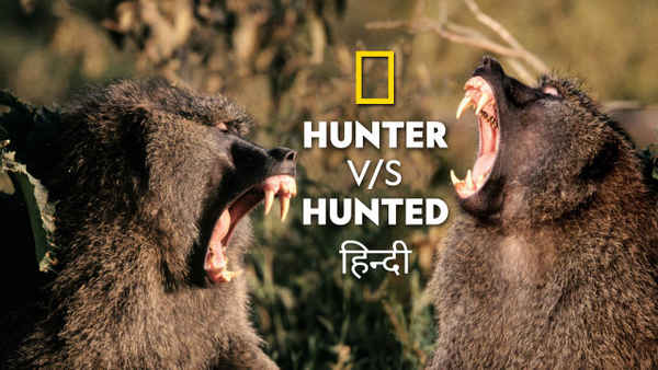Hunter vs. Hunted Poster 5