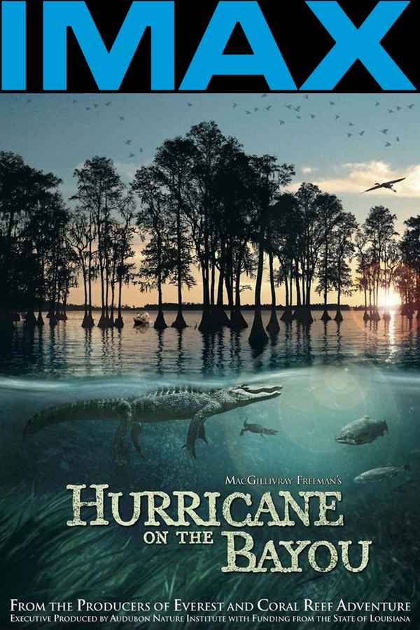 Hurricane on the Bayou Poster 2