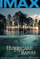 Hurricane on the Bayou Poster 4