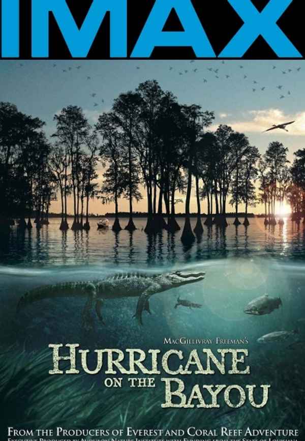 Hurricane on the Bayou Poster 4