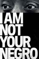 I Am Not Your Negro Poster 2