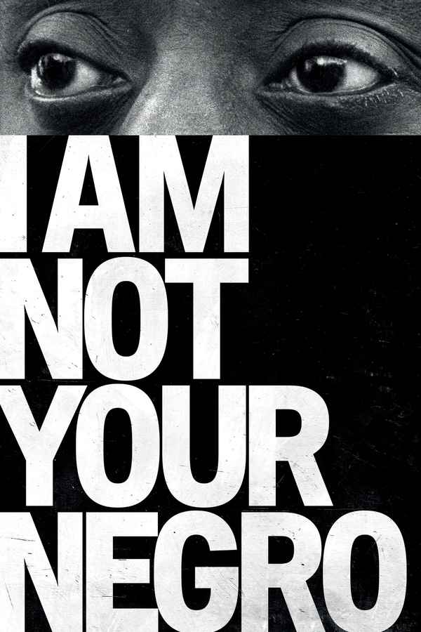 I Am Not Your Negro Poster 2