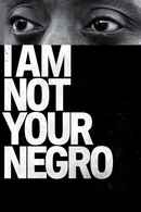 I Am Not Your Negro Poster 3