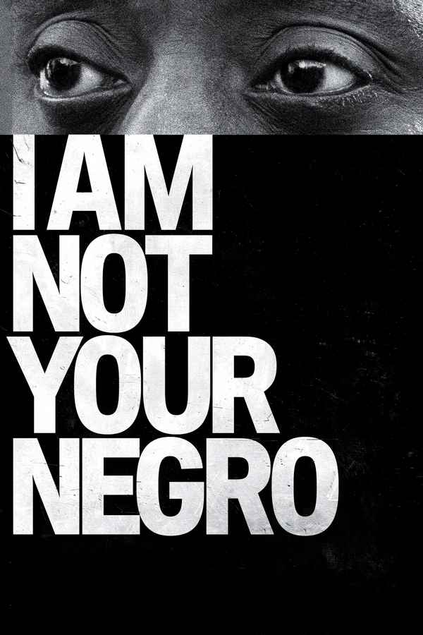 I Am Not Your Negro Poster 3