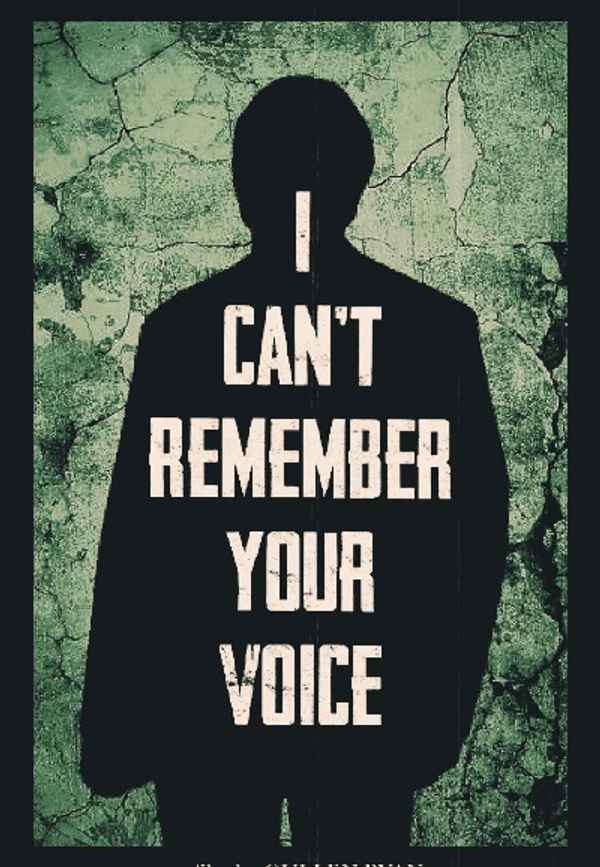 I Can't Remember Your Face Poster 2