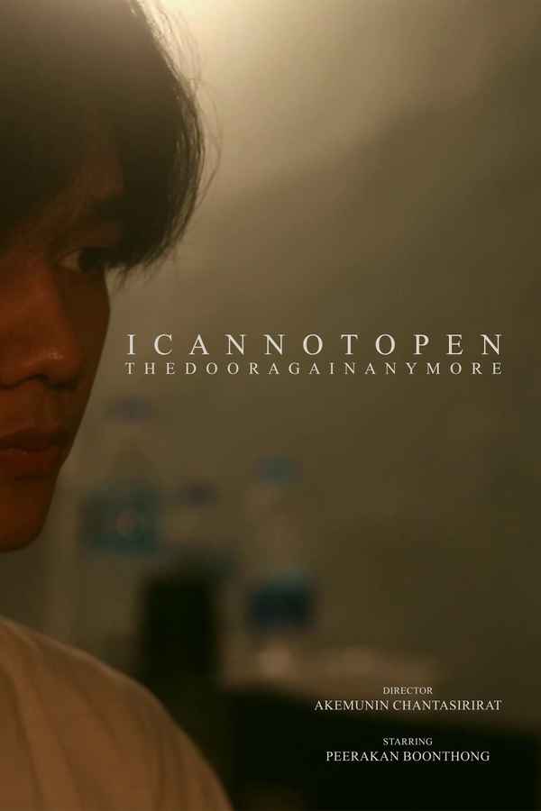 I Cannot Open The Door Again Anymore Poster 4