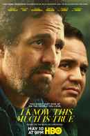 I Know This Much Is True Poster 7