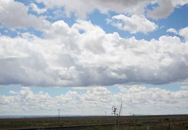 I Love Dick Poster 7