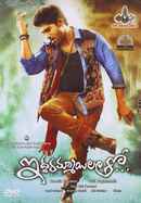 Iddarammayilatho Poster 1